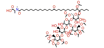 Erylusamide B